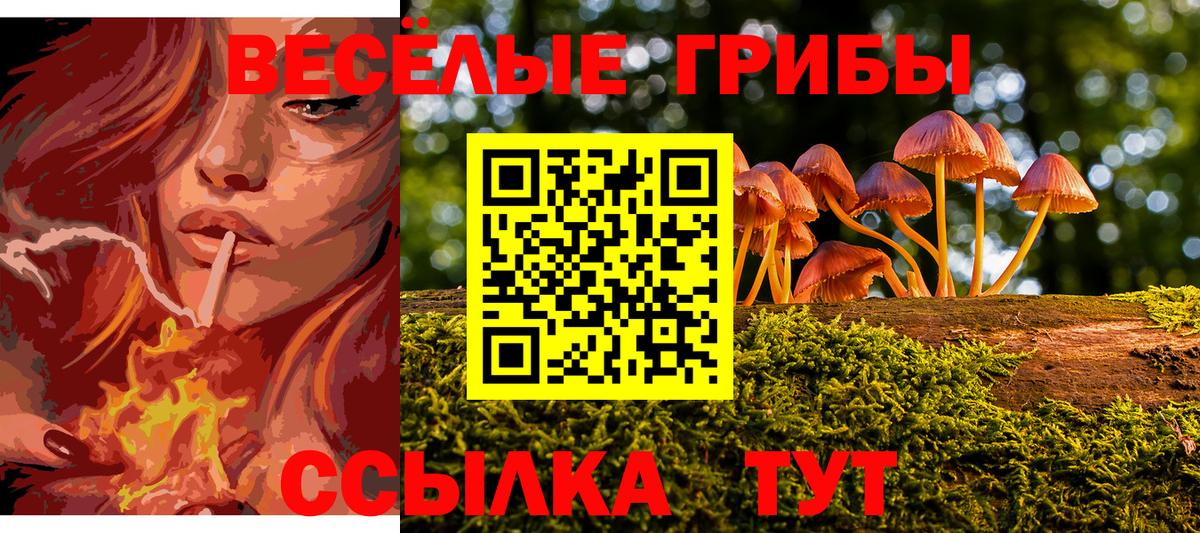 Псилоцибиновые грибы Psilocybe  Псилоцибиновые грибы ЛСД  Вход с VPN  Жигулёвск 