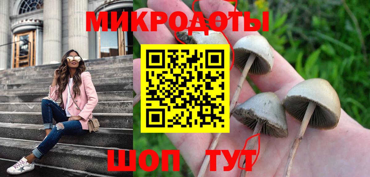 Галлюциногенные грибы мухоморы Жигулёвск